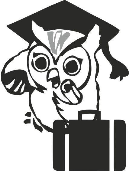 Illustration of an owl with a briefcase and graduation cap, symbolizing business consulting, accounting, and legal services.